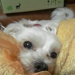 우리 둥둥이