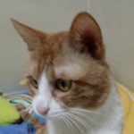 <b>아랑</b>패밀리 2탄...