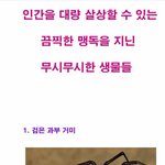 [추억파리여] 인간에게 치명적인 맹독 <b>생물</b>