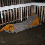 [알래스카] 황수민의 미대륙 정복 - 1. 알래스카 히치하이킹