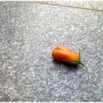 [유익한글] * '차 석 잔' 으로 <b>명장</b>이 되다 *