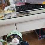 [못생김주의] <b>김</b>묻었다냥 못.생.<b>김</b> ㅋ
