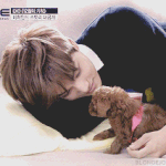 [EXO] 종인이가 키우는 강아지 <b>암컷</b>이야?