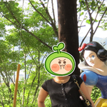 72->47  성공햇습니