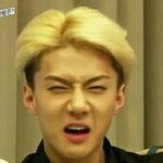 [EXO] ㅋㅋㅋㅋㅋㅋㅋ아ㅅㅂ개웃경