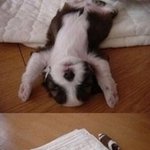 [EXO] <b>모아</b>놧는데.... 