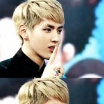 [EXO] 섻소극혐 <b>필독</b>