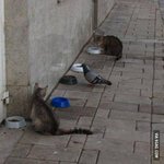 [콜로라도] 거 죽기 딱 좋은 <b>날씨</b>네.jpg