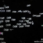 [EXO] <b>콘서트장</b> 첸 물결(?)