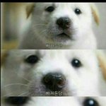 [EXO] 너희는 되고싶은 꿈이 뭐야?