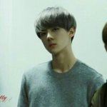 [EXO] 맞아오세훈은닥치고에쉬그래이
