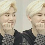 [EXO] 얘들아 여기다 <b>진로</b>상담 가능하니?ㅜㅜ