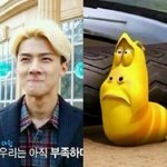 [EXO] 콘서트갔다오고 나면 <b>현타</b>온다