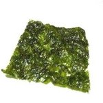 [EXO] <b>김하나</b> 전신노출사진