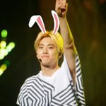 [EXO] 토끼스티커 <b>어플</b>뭔지아는사람ㅠㅠ