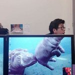 미국에서 유행하는 <b>착시</b> 사진
