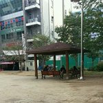 [추억파리여] 대구의 담배피던 여고딩 <b>최후</b>