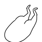 [EXO] 얘들아 나 쌍수할건데 니네라면 어디갈래