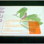 [좋은소식] * 내 글이 실린 좋은생각 10월호를 받다 *