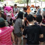 <b>도심</b> 한복판 초대형 너구리들의 정체??