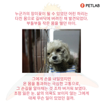 마음으로 보는 사진들..72