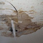 집주인이 이사를 못가게 합니다 !!!!