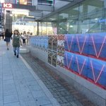 여기저기 다 있구나