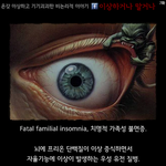 [김군] 김군의 믿거나 말거나 -3 [스압주의]