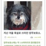 [부탁드려요] 그냥 지나치지 마시고 한 번만 꼭 봐주세요.. 부탁드립니다