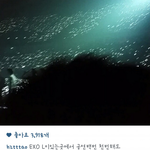 [EXO] 엑소 <b>팬</b>사랑<b>x</b> 드립치는년은 타퀴 안티임