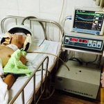 [추억파리여] 여학생 몰카 찍다 들켜서 몰매 맞고 <b>중태</b>