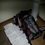 [알래스카] 황수민의 <b>미대</b>륙 정복 - 4. 알래스카 리얼 히치하이킹