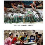 [<b>아리</b>] 인도의 재활용 콜라