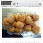 [공포베스트] <b>상한</b> 귤 보고 빡친 어느 임산부..jpg