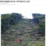 [추억파리여] <b>평창</b> 고목 학살 사건 jpg