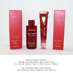마몽드 <b>동백</b>세럼, 페이스오일! 피부노화 걱정인분들 안티에이징 세럼...