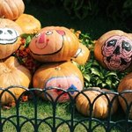 에버랜드 할로윈&amp;좀<b>비축</b>제 최고 ㅎㅎㅎ