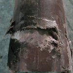 [꼭봐주세요] [널리퍼트려주세요]안타까운 중소기업의 현실