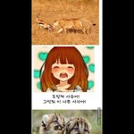 [베스트클릭] 여자들이 <b>동물</b>의 왕국 볼때..