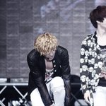 [EXO] zizi 사진 모으던 애 있어??ㅋㅋㅋ