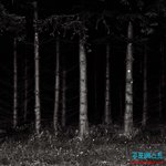 [<b>아리</b>] 빛이 들어오지 않는 숲, 블랙 포레스트