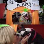 [아리] 개랑 키스하는데 1달러