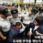 [시사토론] 백범 암살범을 배출한 테러 집단 ‘서청’이 부활하다니