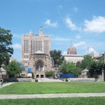 한화건설 신라문화탐방 &amp; 김승연 <b>차남</b>(한화 아들) 예일대학교 출신