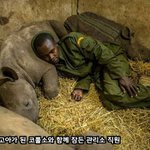 동물과 사람의 감동적인 <b>우정</b>