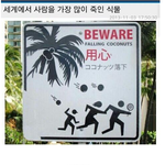 [아리] 사람을 가장많이 죽인<b>식물</b>