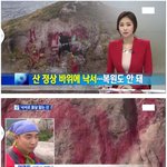 [추억파리여] 산 <b>정상</b>위에 미친 인간들 jpg