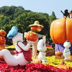 가족나들이~~ 에버랜드 할로윈 <b>축제</b> 잼있어요!