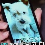 [수호] 준면이는 나중에 아들이나 <b>딸바보</b> 될듯