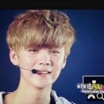 [EXO] 세훈아 이왕 관종짓할꺼면 화끈하게해라